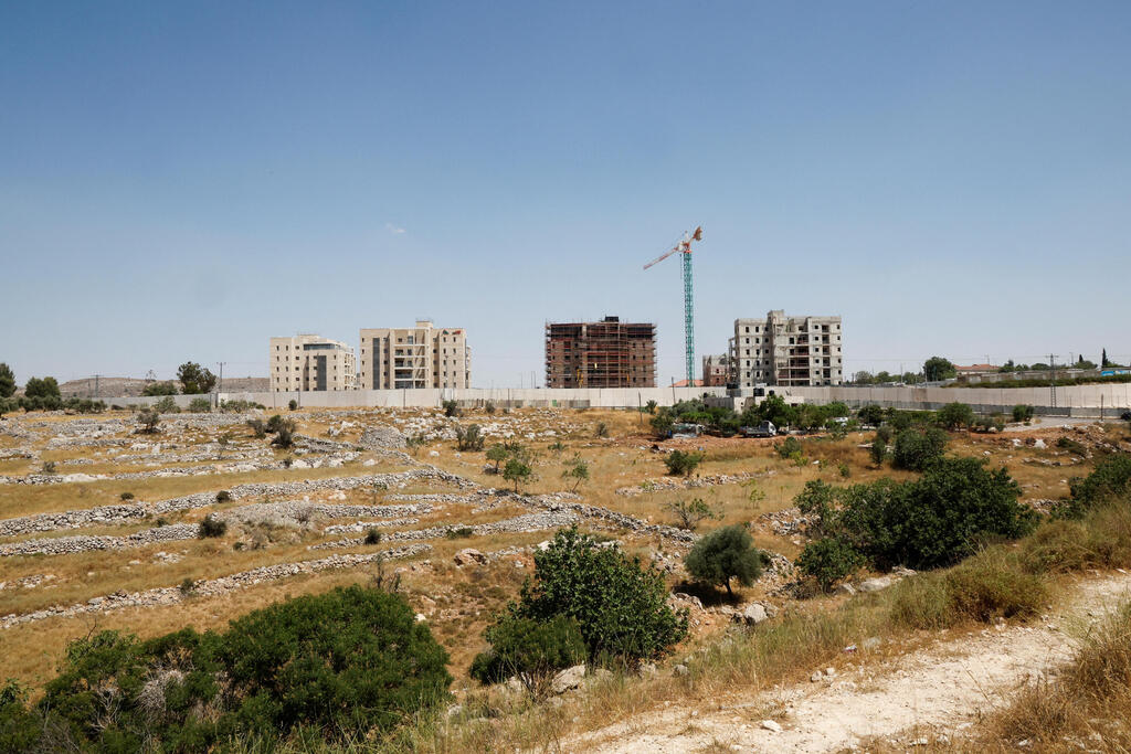 Ofar (Photo: Reuters) עפרה