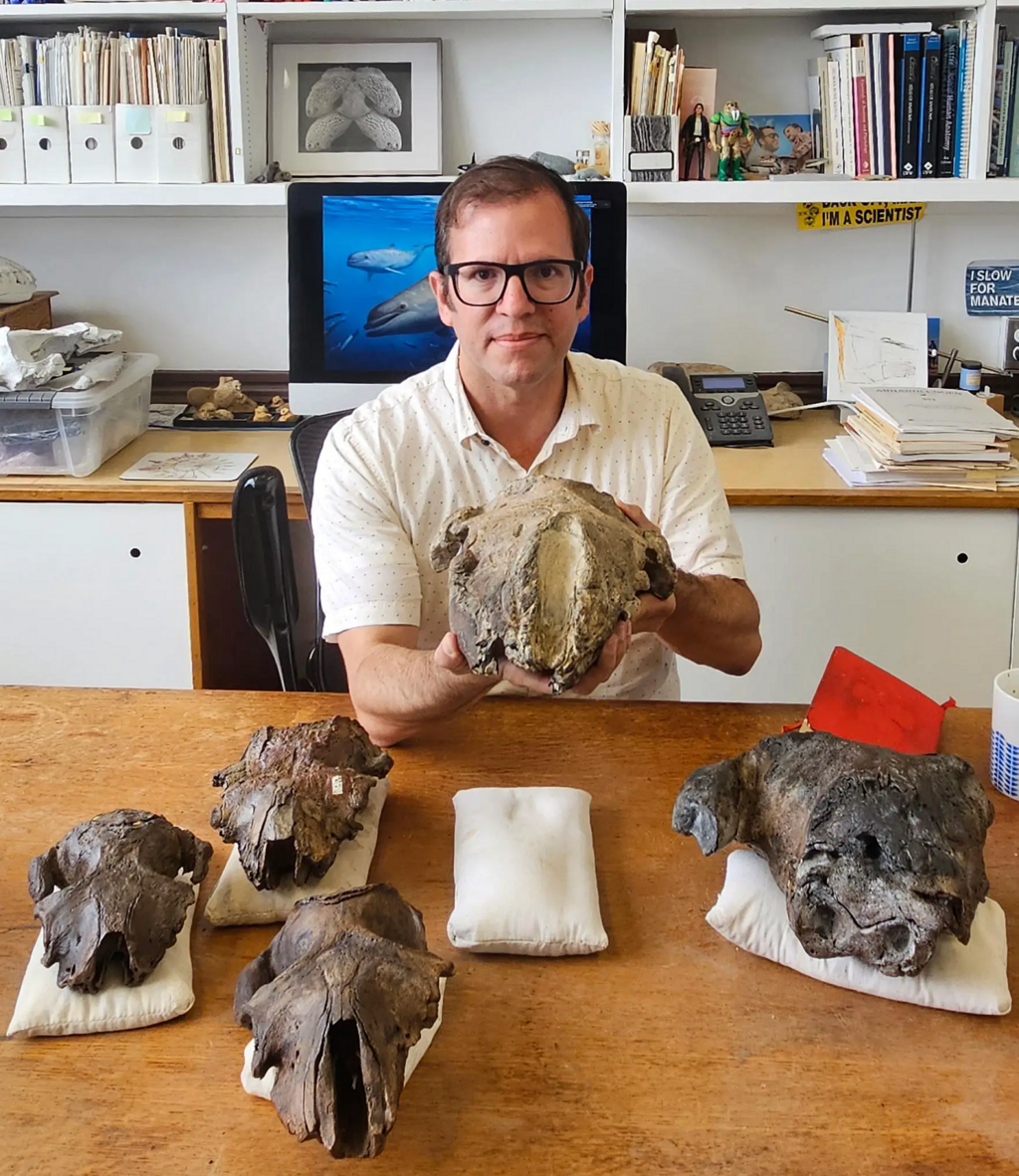 ד"ר חורחה ולז-ג'וארב