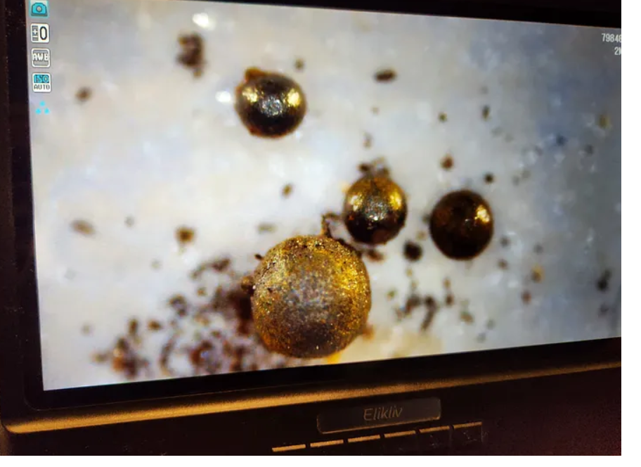 Some of the spherules found in the ocean (Photo: Prof. Avi Loeb's research team) כמה מהכדוריות שנמצאו באוקיינוס