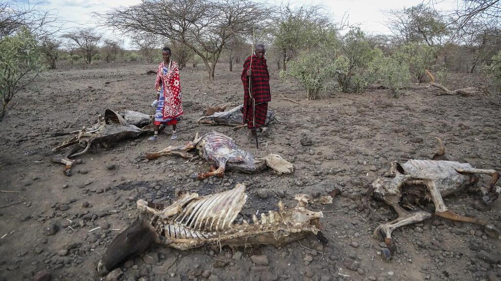 פגעי הבצורת בקניה