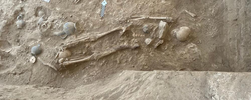 אחד השלדים שאותרו בחפירות שבוצעו בעיר האלה סולטן טקה שבקפריסין, כשמספר חפצי קבורה פוזרו בסמוך לשלד