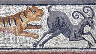 אחד הפסיפסים שהתגלו בבית הכנסת העתיק בחוקוק, בו רואים טיגריס רודף אחרי יעל