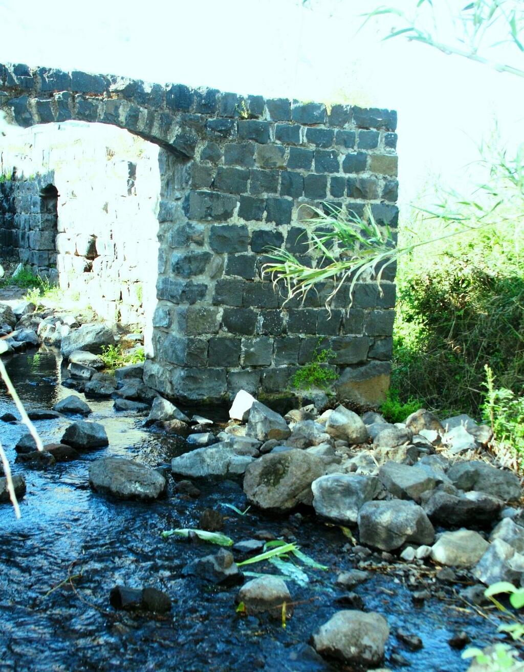 Above the spring are the remains of the Ottoman-era flour mill “Dirbashiyya,” which once used the water to produce flour (Photo: Yotam Levy) טחנת הקמח העות'מאנית בין דיבשה