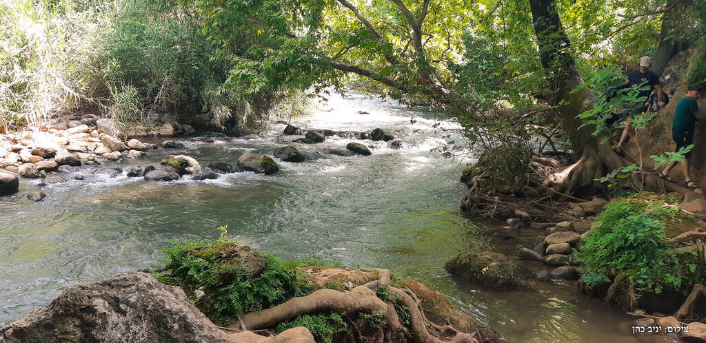 The short route is a circular accessible trail suitable for wheelchairs and strollers (Photo: Yaniv Cohen, Israel Nature and Parks Authority) נחל שניר