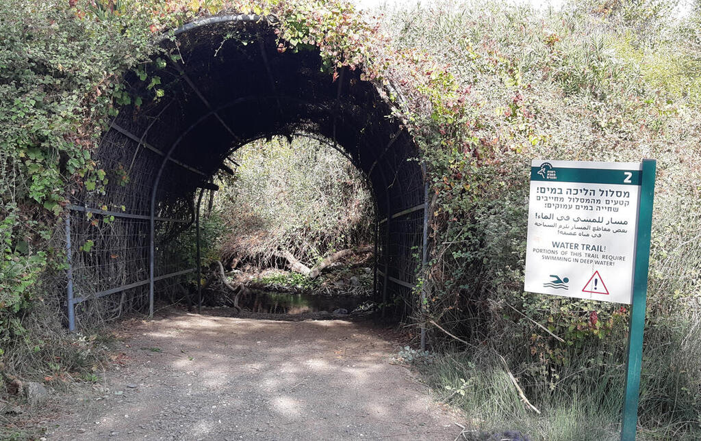 It is about 800 meters of walking in stream water, after which visitors can return via the “dry trail” (Photo: Daniela Turgeman, Israel Nature and Parks Authority) הכניסה למסלול הרטוב של המג'רסה
