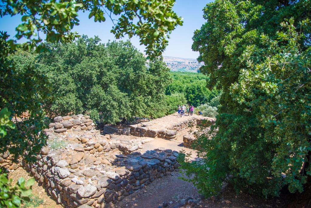 The reserve offers year-round flowing water (Photo: Manu Grinspan) שרידי העיר המקראית תל דן