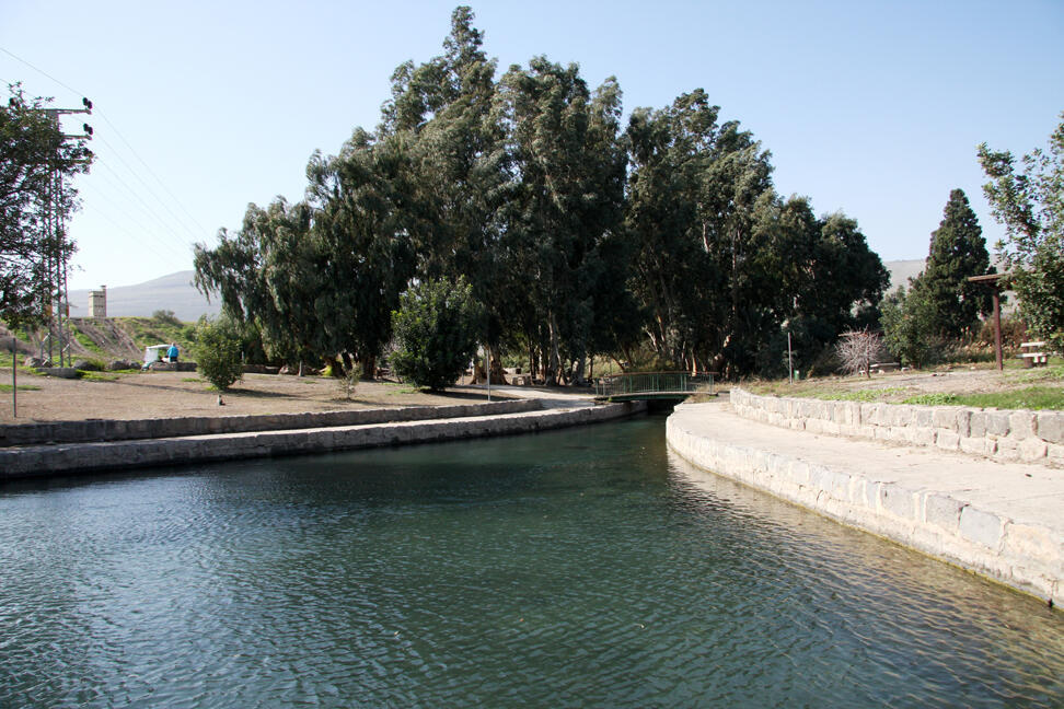 Along the junction between the valley and Mount Gilboa, several large springs feed Hakibbutzim Stream (Photo: Yaakov Shkolnik) נחל הקיבוצים