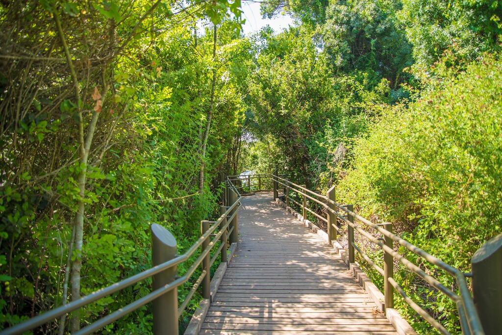 The Dan River is the largest and most important of the three sources of the Jordan River (Photo: Manu Grinspan) שביל בשמורת תל דן