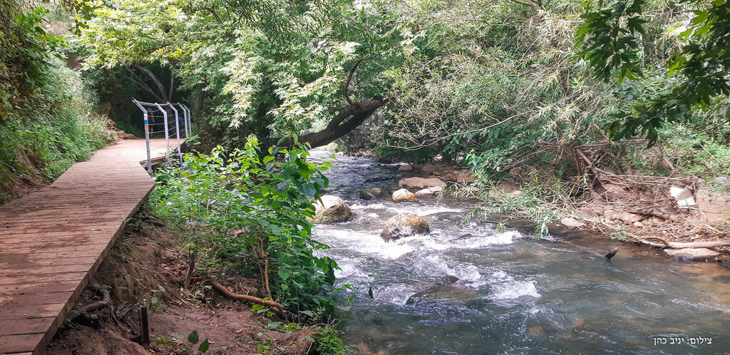 Many know Snir Stream for its kayaking routes (Photo: Yaniv Cohen, Israel Nature and Parks Authority) נחל שניר