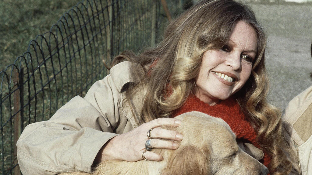 Bardot in 1982 (Photo: AP Photo/Duclos) בריז'יט בארדו, 1982