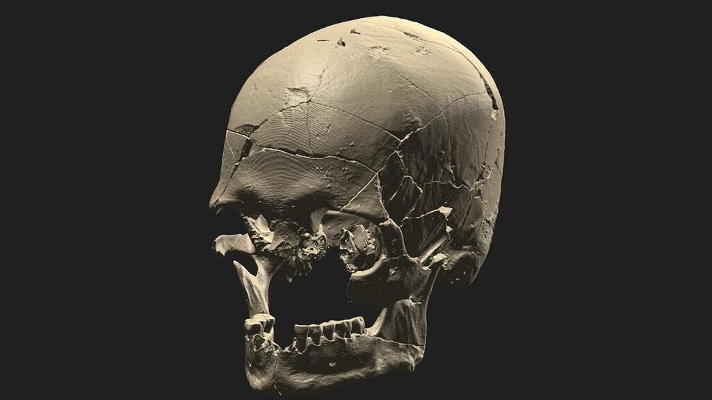 אחד מ-34 השלדים שנותחו במחקר הגנטי, אשר הגיעו מארבעה אזורים שונים בחופי ברזיל
