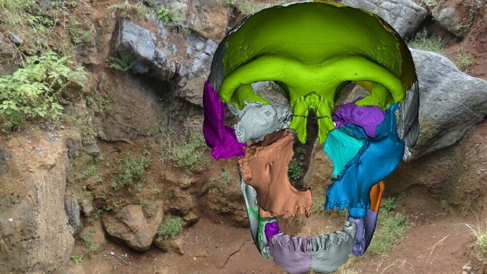 השחזור הווירטואלי של הגולגולת שחלק ממנה אותר בהואלונגדונג (במה שהוא כיום חלק ממזרח סין), על רקע תמונת האתר