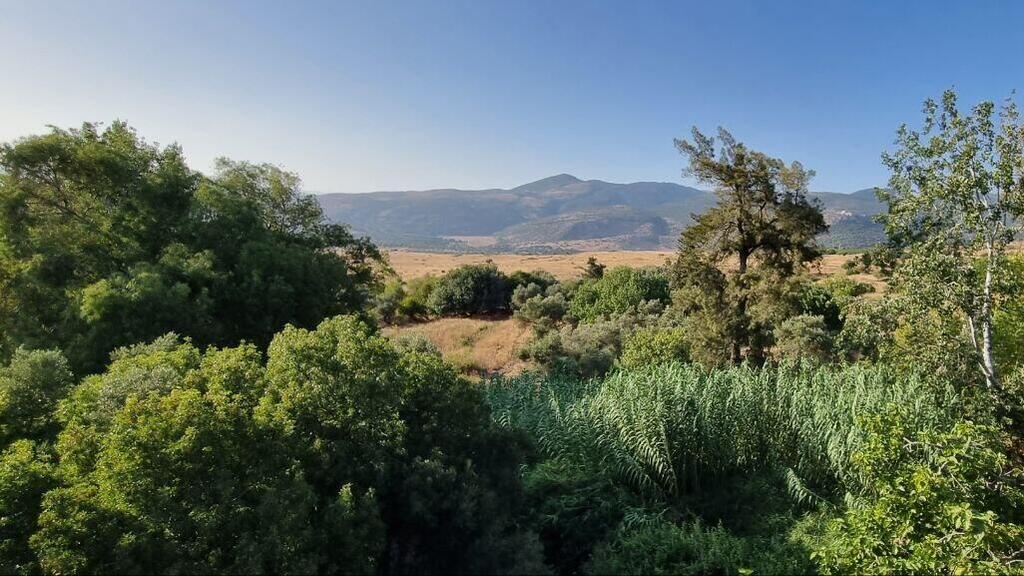 Photo: Assaf Kamar הנוף מהתצפית בטחנת הקמח