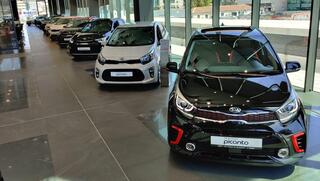 היבואניות הגדולות על הכוונת: עלולות לאבד מותגים