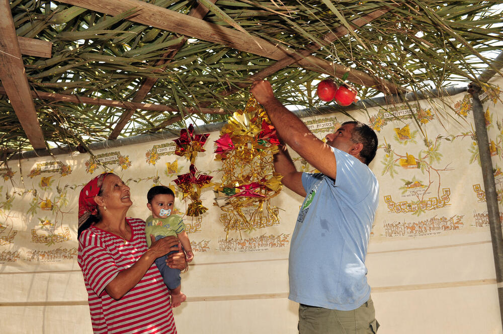 Подготовка сукки: ветви укладываются так, чтобы через них было видно небо 
