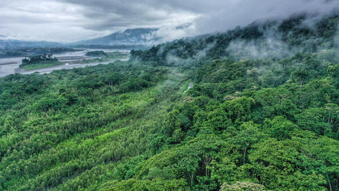 יערות הגשם באמזונס שבפרו