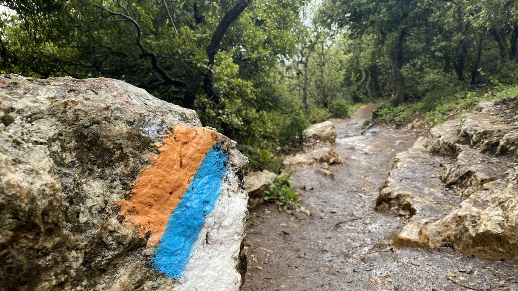 "שביל ההר" במירון - בעקבות סימון שביל ישראל