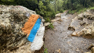 "שביל ההר" במירון - בעקבות סימון שביל ישראל