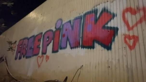 מרססים גרפיטי עם כינויה של ענבר הימן, Pink