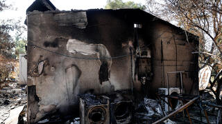 קיבוץ ניר עוז