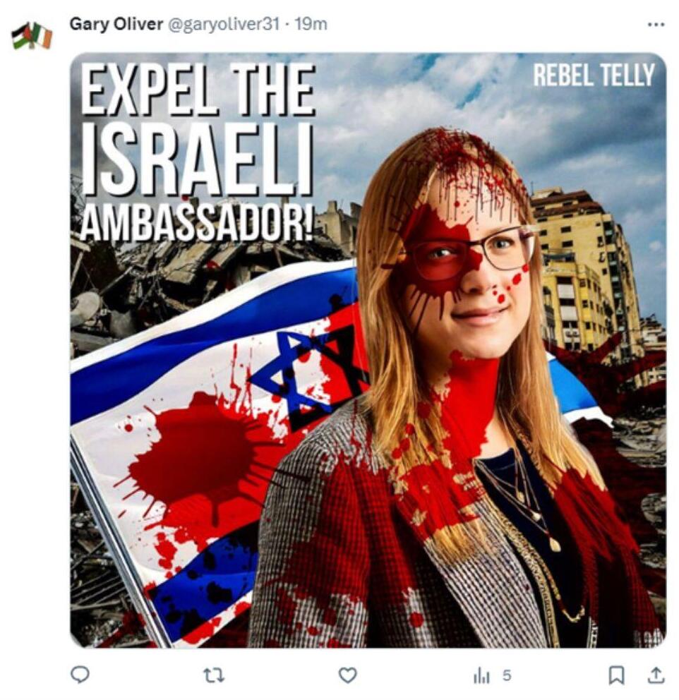 דנה ארליך שגרירת ישראל ב ארילנד