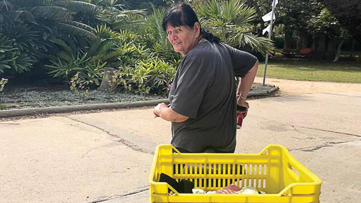 ברכה לוינסון 