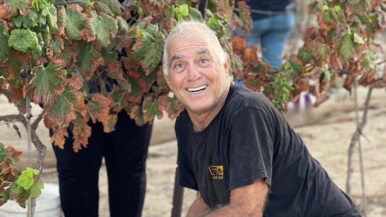 גדי מוזס