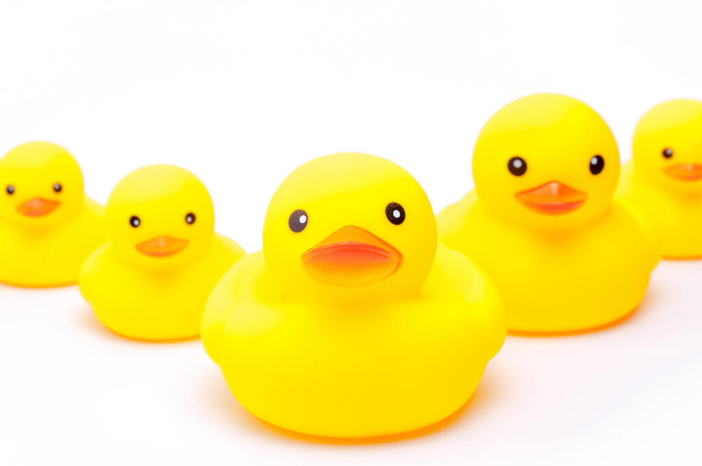 Photo: Kitthanes, shutterstock ברווז גומי צהוב. לא רק צעצוע לילדים
