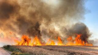 מתוך התערוכה "נחל עוז צילומים"