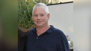 אילן, שירי ונגה וייס