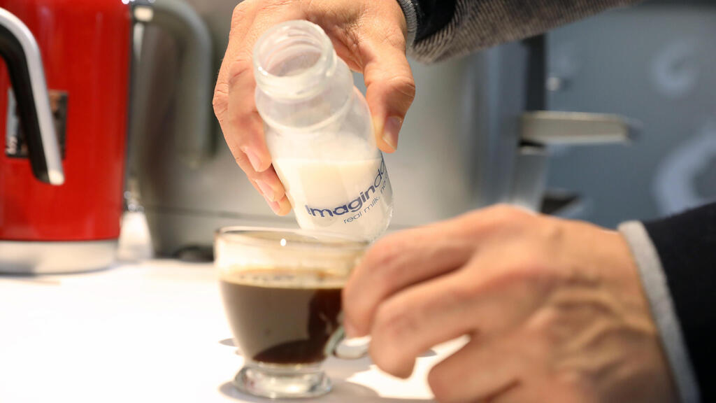 Imagindairy produces milk proteins identical in taste, texture and nutritional values to cow's milk proteins without using animals (Photo: Courtesy of Imagindairy) החלב של אימג'נדרי