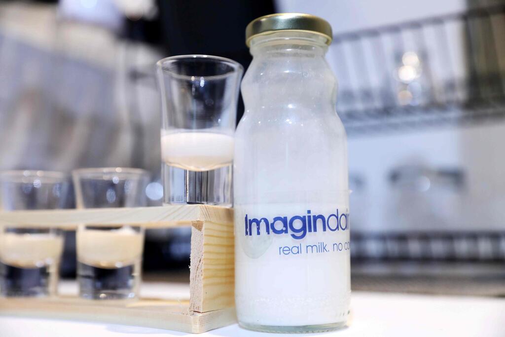 Israeli foodtech company Imagindairy gets go-ahead to market its products in Israel (Photo: Yaniv Kopel) החלב של אימג'נדרי