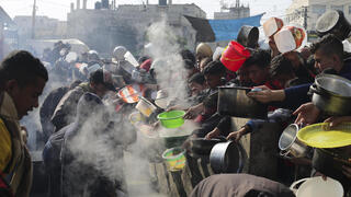 מחלקים אוכל ברפיח