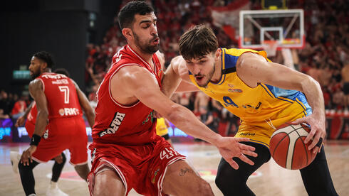 סורקין מול גינת