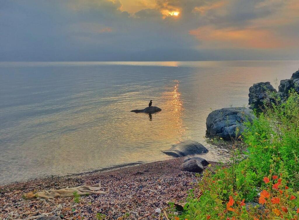זריחה בכינרת