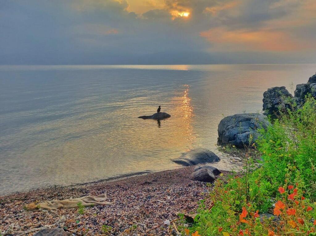 זריחה בכינרת