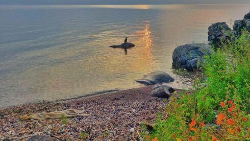 זריחה בכינרת