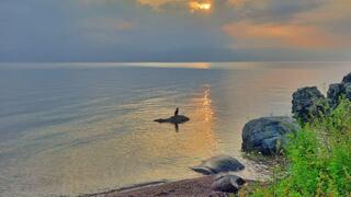 זריחה בכינרת