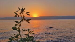 זריחה בכינרת