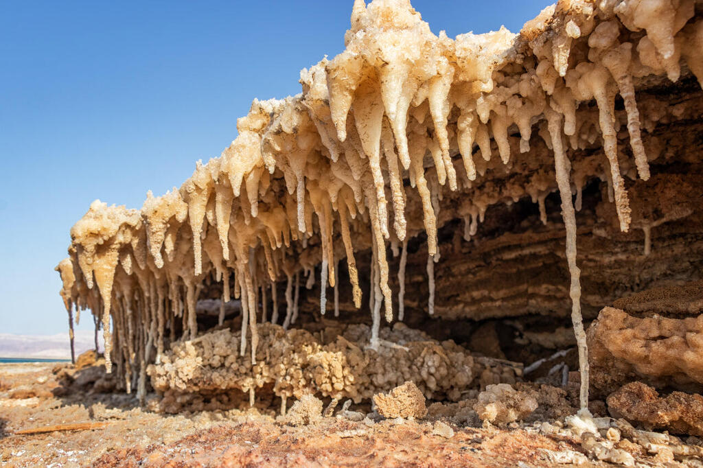 Because you are walking on the dried seabed, you step on layers of hard salt crust that feel like knives (Photo: Arik Danino) הנהר הסודי בים המלח