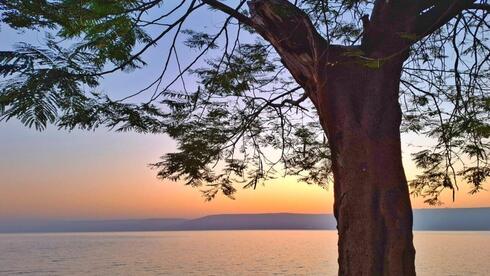 בוקר בכינרת