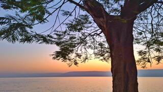 בוקר בכינרת