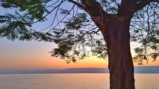 בוקר בכינרת