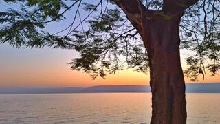 בוקר בכינרת