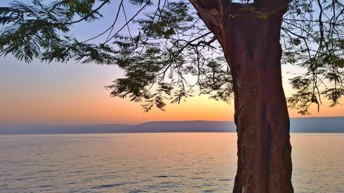 בוקר בכינרת