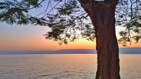 בוקר בכינרת