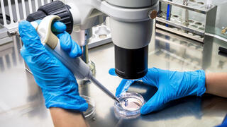 עובד מעבדה בוחן דגימה תחת מיקרוסקופ