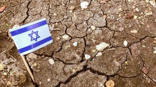 אדמה ודגל ישראל