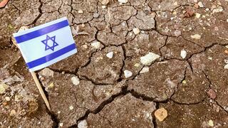 אדמה ודגל ישראל