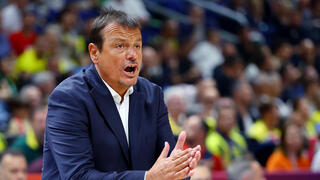 מאמן פנאתינייקוס ארגין עתמאן